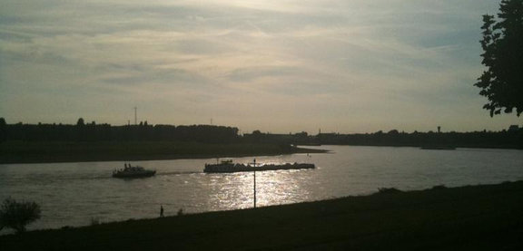 IMG-20210207.jpg